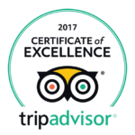 Trip Advisor certificate of excellence accommodation bloemfontein guest house